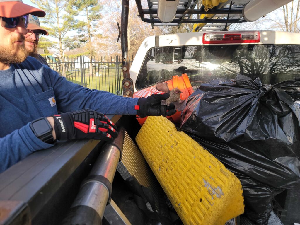 Wildlife Control Hopkins